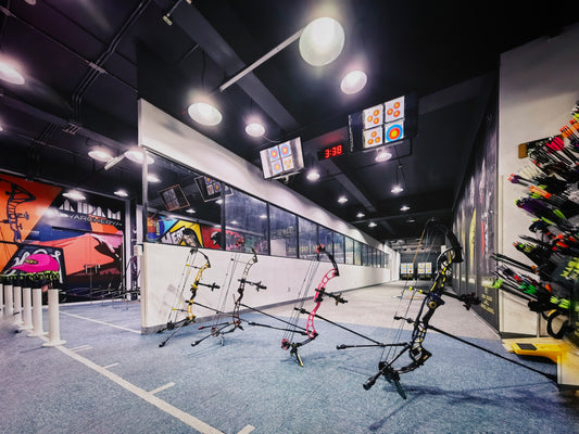 Mastering the Basics of Compound Archery: A Comprehensive Guide